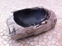 /album/galeria-de-fotos%3a-pe%c3%a7as-exclusivas/img-1504-jpg/