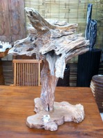 /album/galeria-de-fotos%3a-pe%c3%a7as-exclusivas/img-1511-jpg/