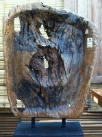 /album/galeria-de-fotos%3a-pe%c3%a7as-exclusivas/img-1517-jpg/