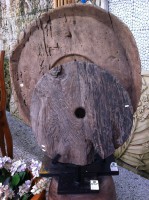 /album/galeria-de-fotos%3a-pe%c3%a7as-exclusivas/img-1524-jpg/