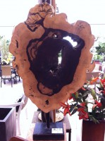 /album/galeria-de-fotos%3a-pe%c3%a7as-exclusivas/img-1525-jpg/