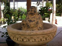 /album/galeria-de-fotos%3a-pe%c3%a7as-exclusivas/img-1533-jpg/